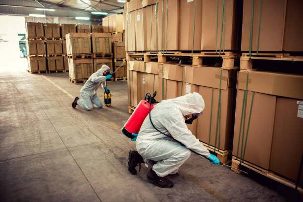 Best Pest Removal Services  in Hawthorn Woods, IL