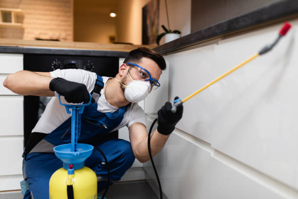 Best Residential Pest Control  in Hawthorn Woods, IL