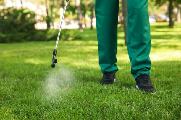 Best Affordable Pest Control Services  in Hawthorn Woods, IL