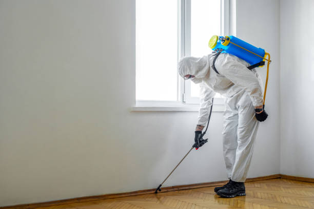 Best Mosquito Control Services  in Hawthorn Woods, IL