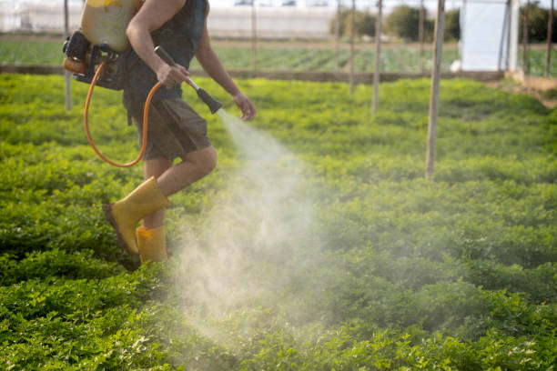 Best Exterminator Services  in Hawthorn Woods, IL