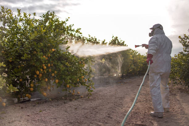 Best Pest Control Near Me  in Hawthorn Woods, IL