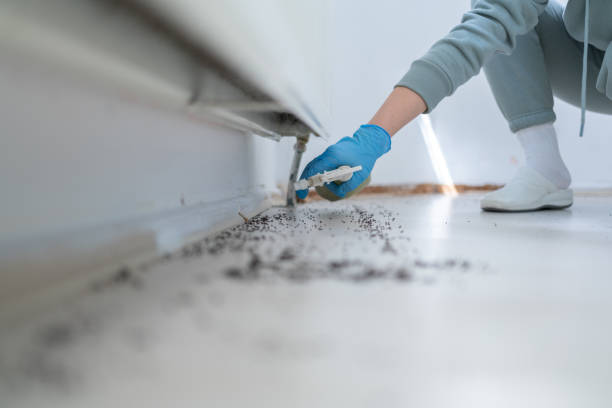 Best Pest Inspection Near Me  in Hawthorn Woods, IL