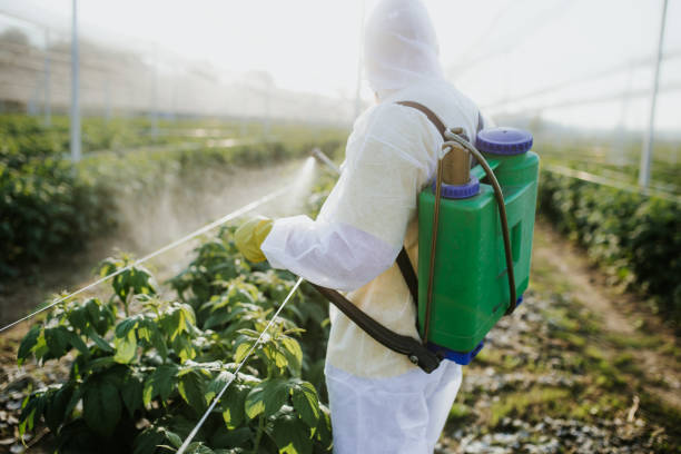Best Cockroach Control Services  in Hawthorn Woods, IL